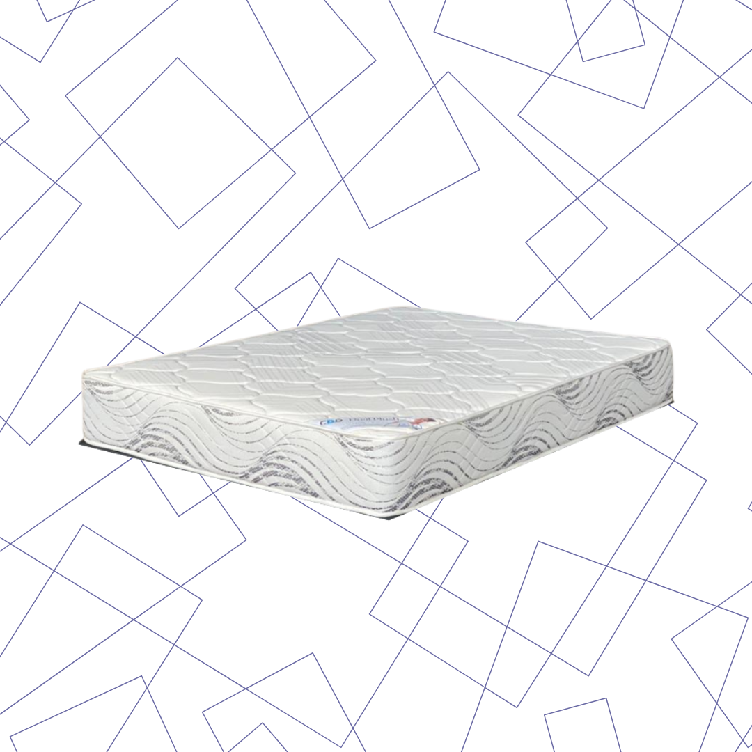 Dual Plush - Queen Mattress